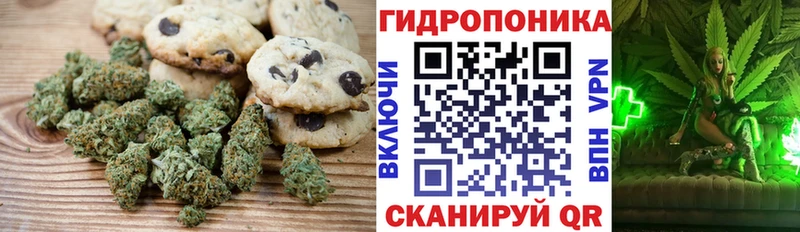 Canna-Cookies марихуана Купить Солигалич