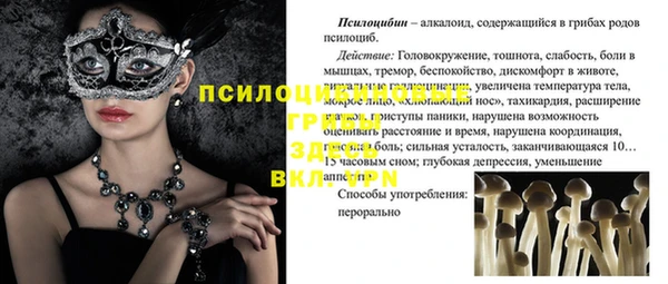 хмурый Нягань