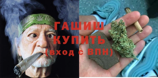 индика Новодвинск