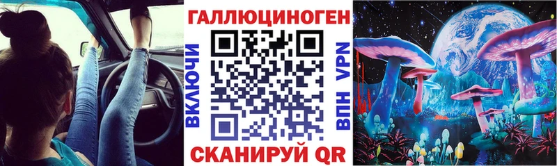Купить где  Солигалич  Псилоцибиновые грибы GOLDEN TEACHER 